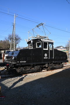 デキ3021