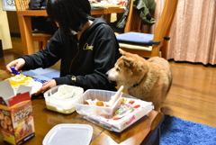 まだかな～