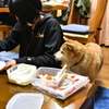 まだかな～