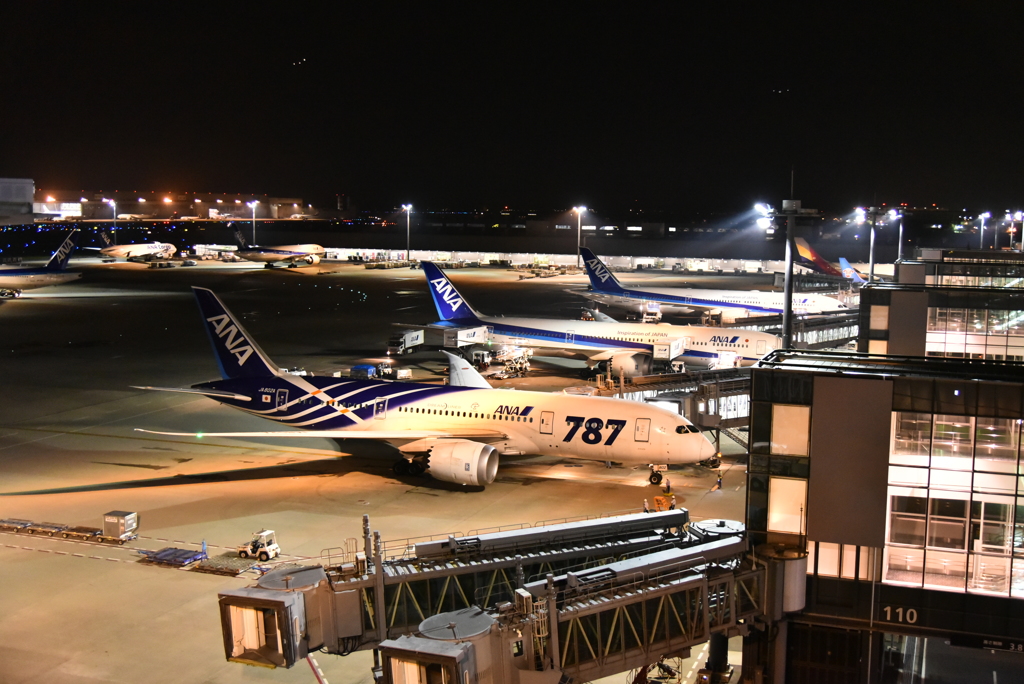 たまには飛行機の旅でも