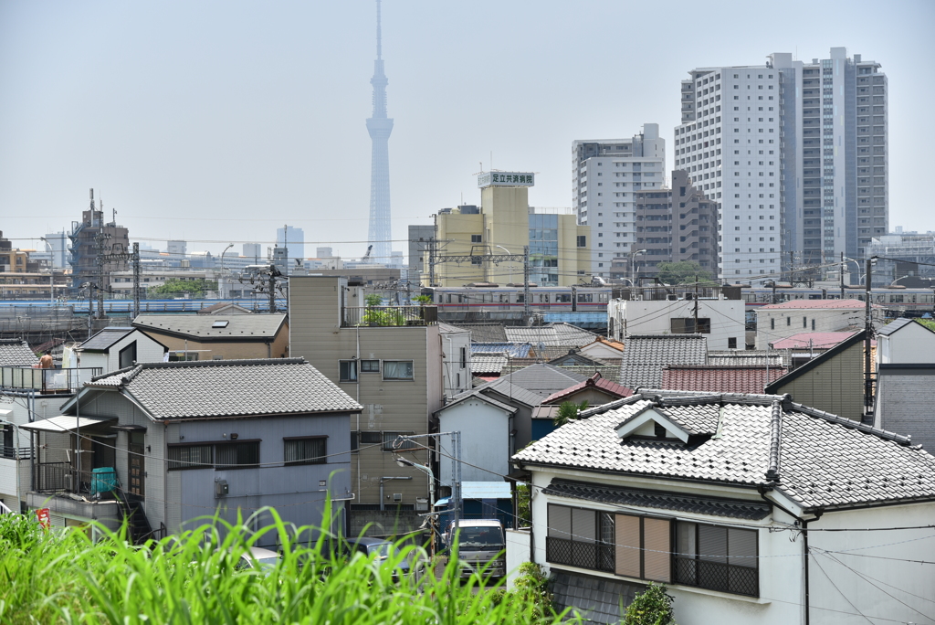 スカイツリーと京成線