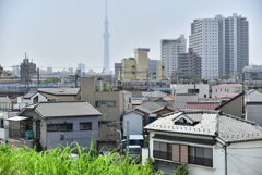 スカイツリーと京成線