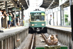 無事カエル