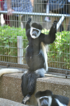 つまらないな～