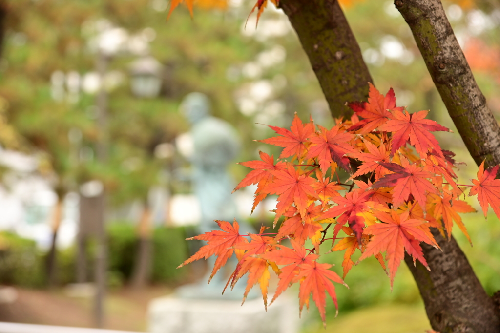 紅葉と芭蕉2