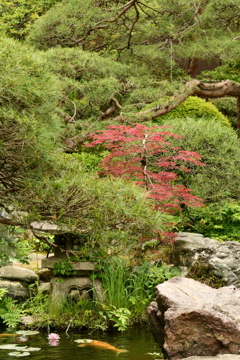 山本亭庭園1