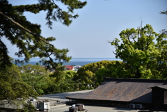 相模湾
