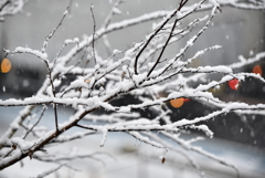 大雪