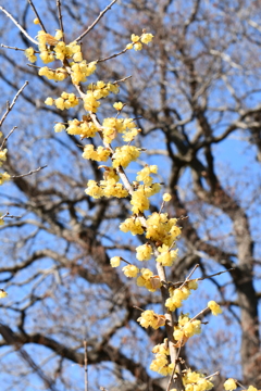 お散歩4