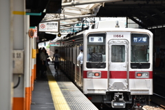 車掌さんひとり日向