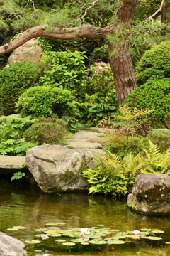 山本亭庭園3