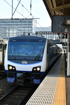 リゾートしらかみ「青池」