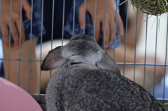 出してくれ～
