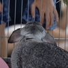 出してくれ～