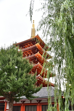 五重塔その２