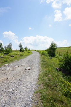 美ヶ原高原
