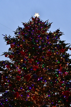 クリスマスツリー