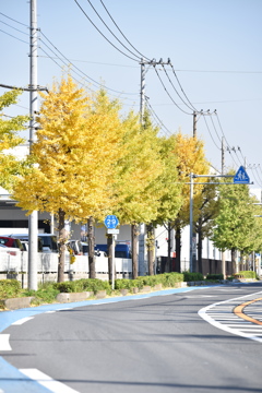 カーブの先に