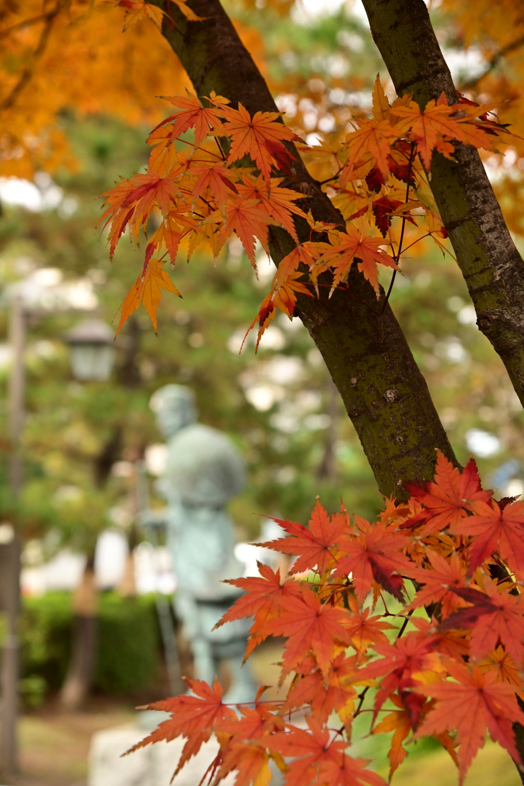 紅葉と芭蕉1
