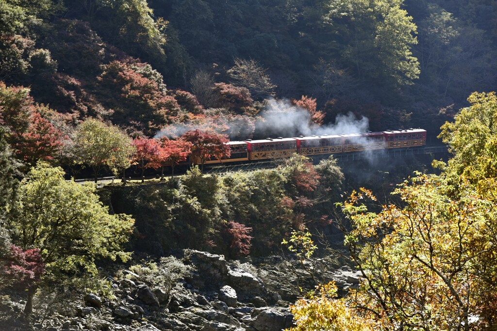 紅くなってきてます