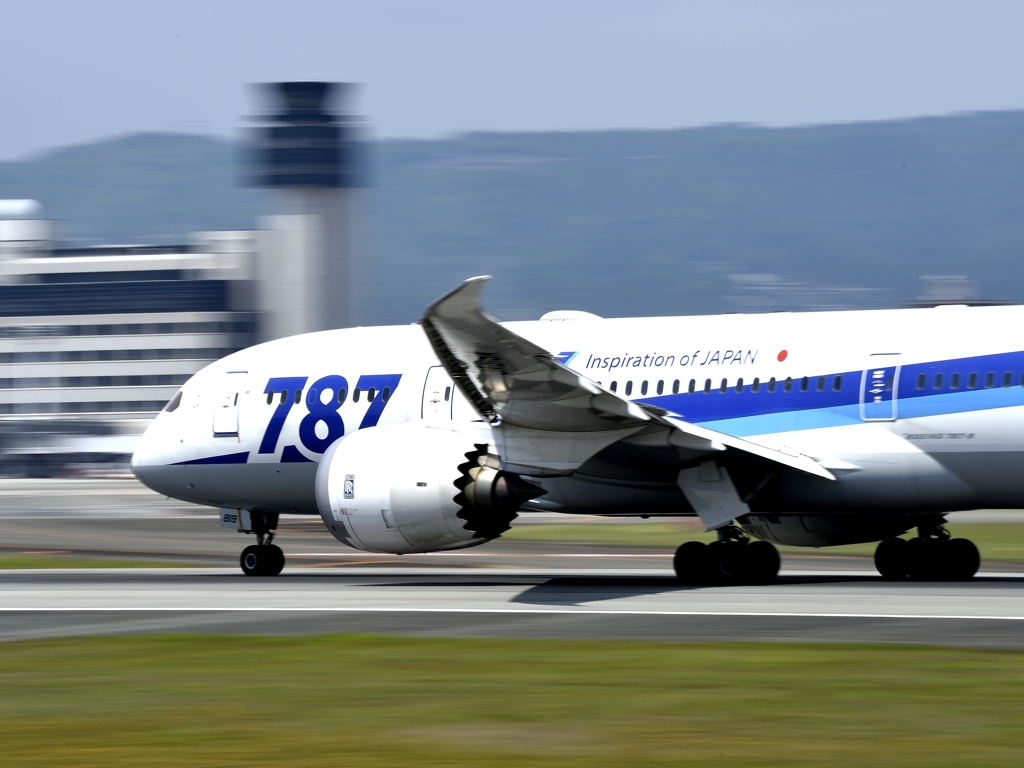 ANA 787