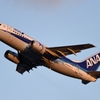 ANA WINGS