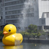 水浴び中