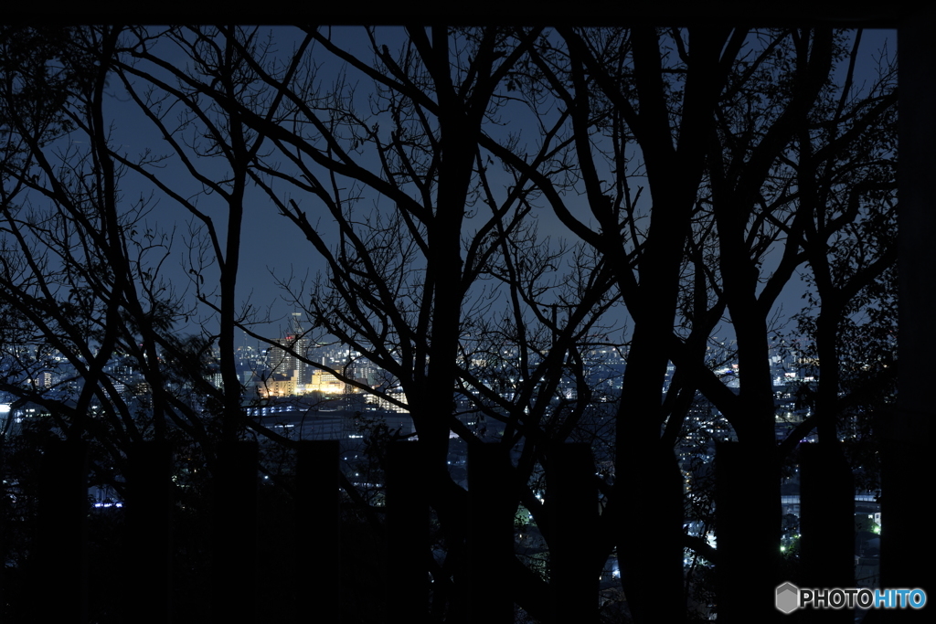 東屋より