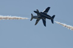 Kawasaki T-4 BlueImpulse