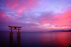 白鬚神社