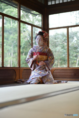 鑑賞