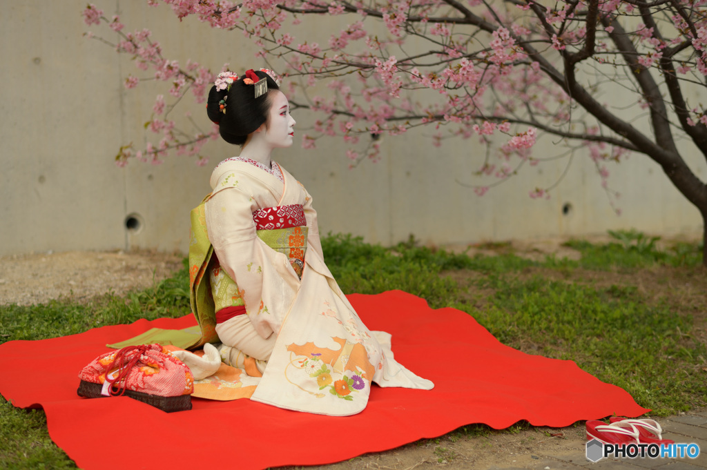 花見