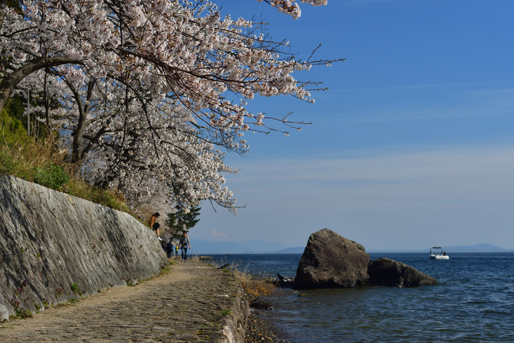 湖畔で