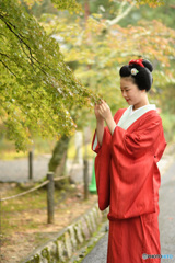 赤くなりかけどす。