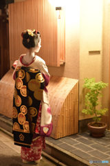 通りすがり
