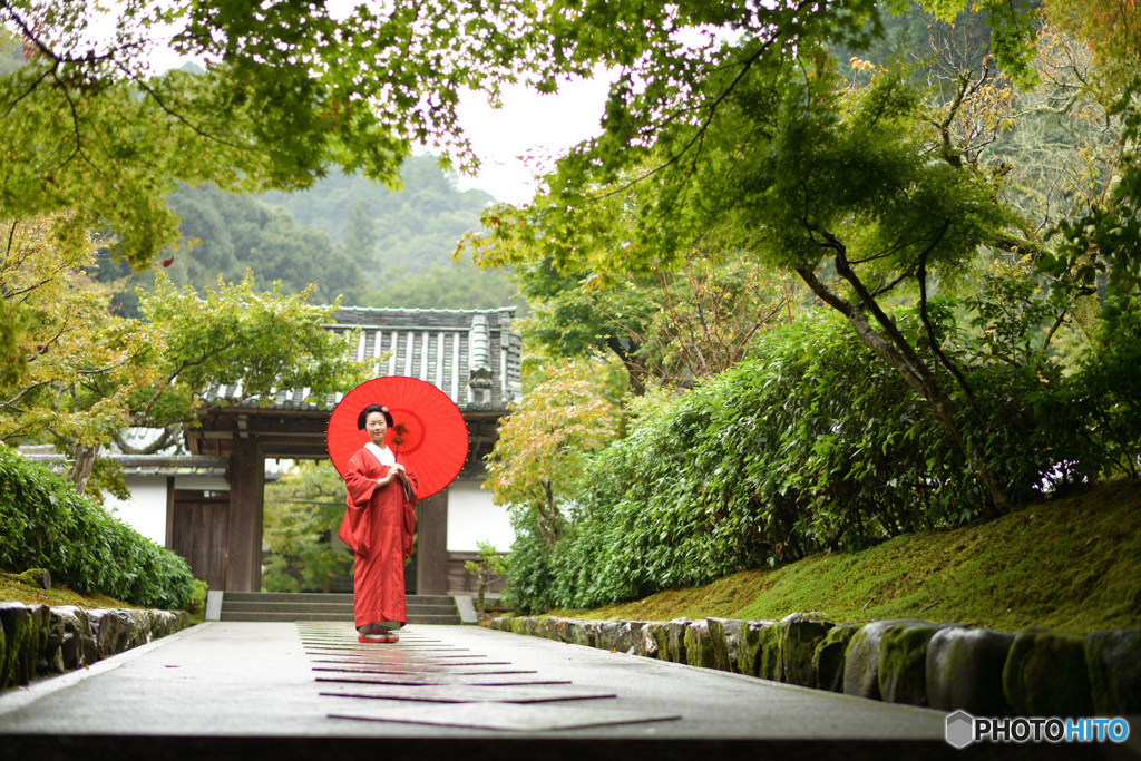 雨の中にただずむ