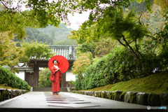 雨の中にただずむ