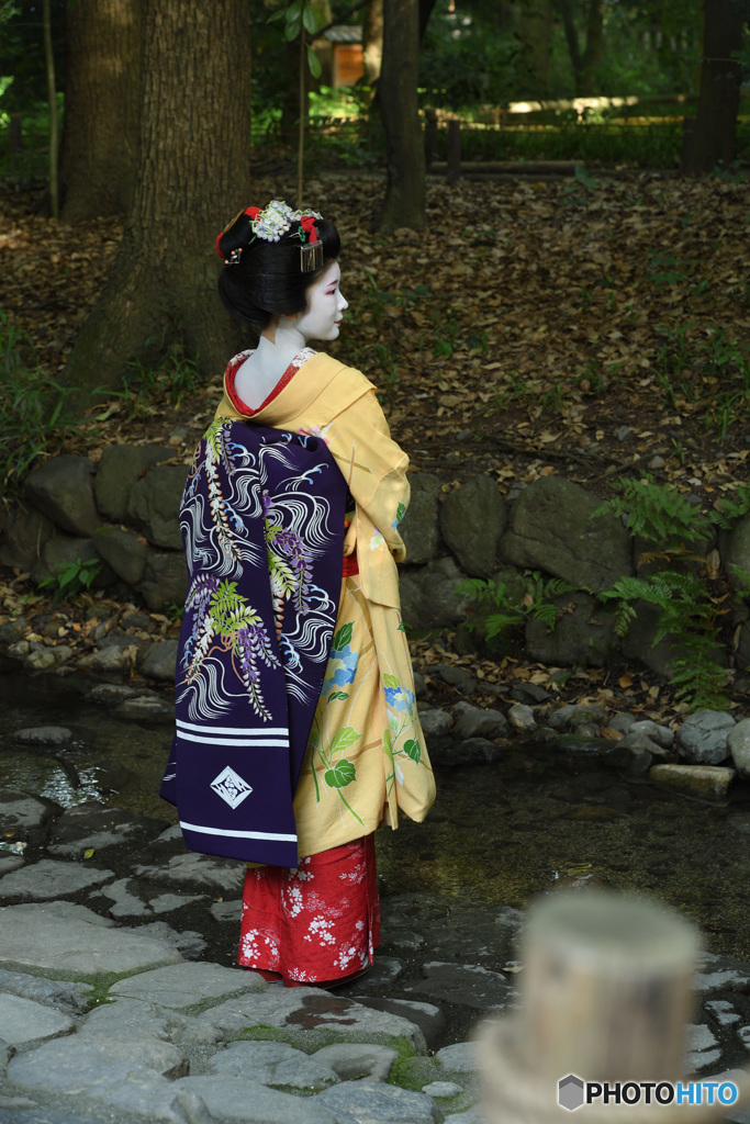 水辺にたたずむ