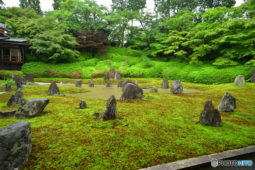 枯山水が池