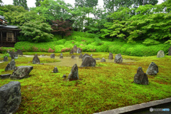 枯山水が池