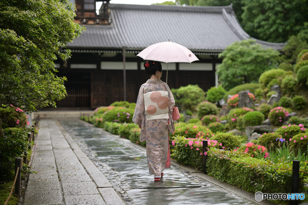 梅雨へ