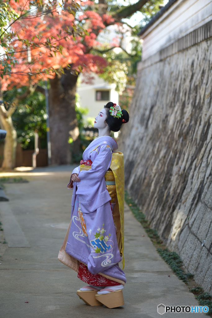 眺めて