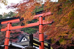 平野屋