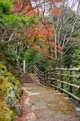大悲閣千光寺へ
