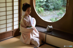 日本の夏