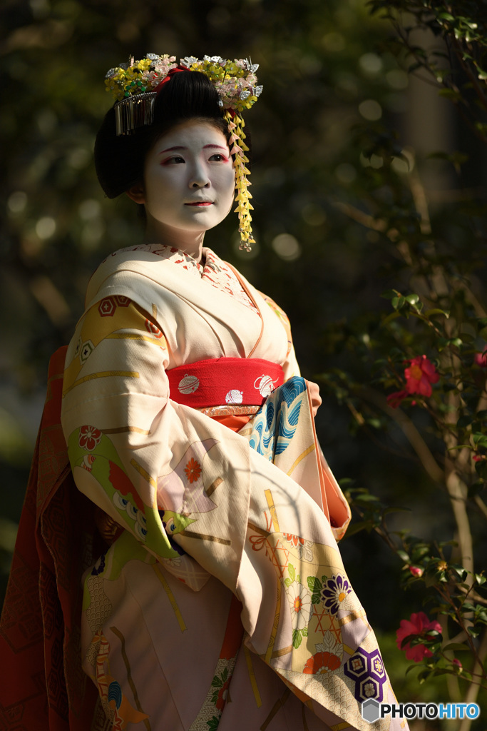 眺めて
