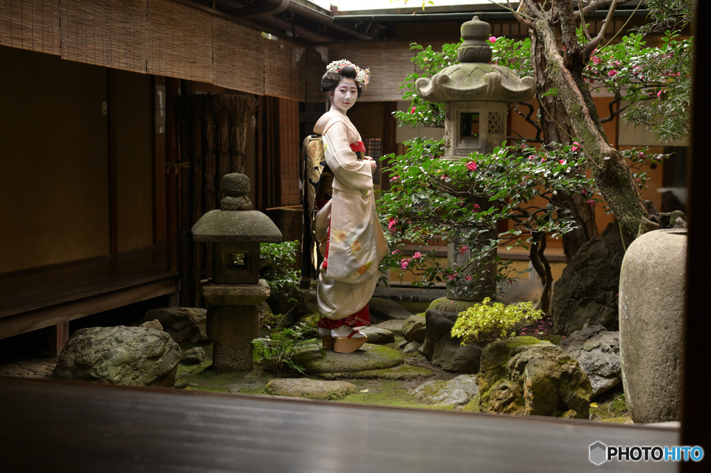 坪庭