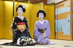 芸舞妓