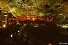 御土居