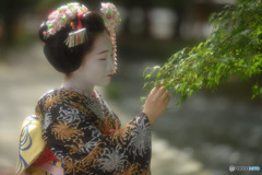 幻影
